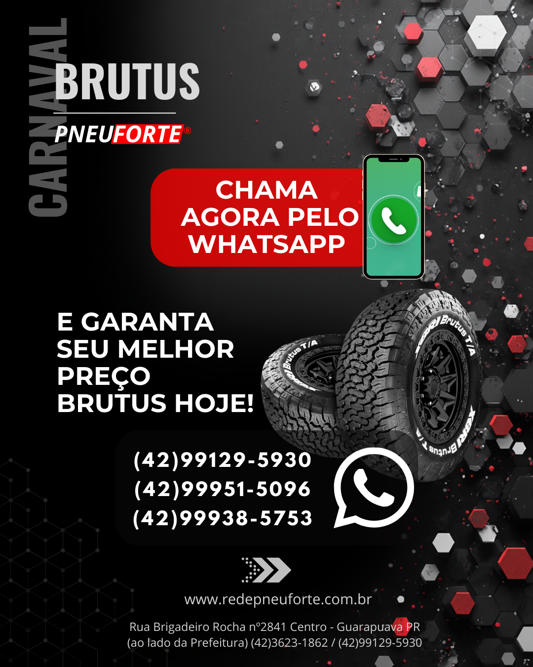 Promo_PNEU FORTE_233