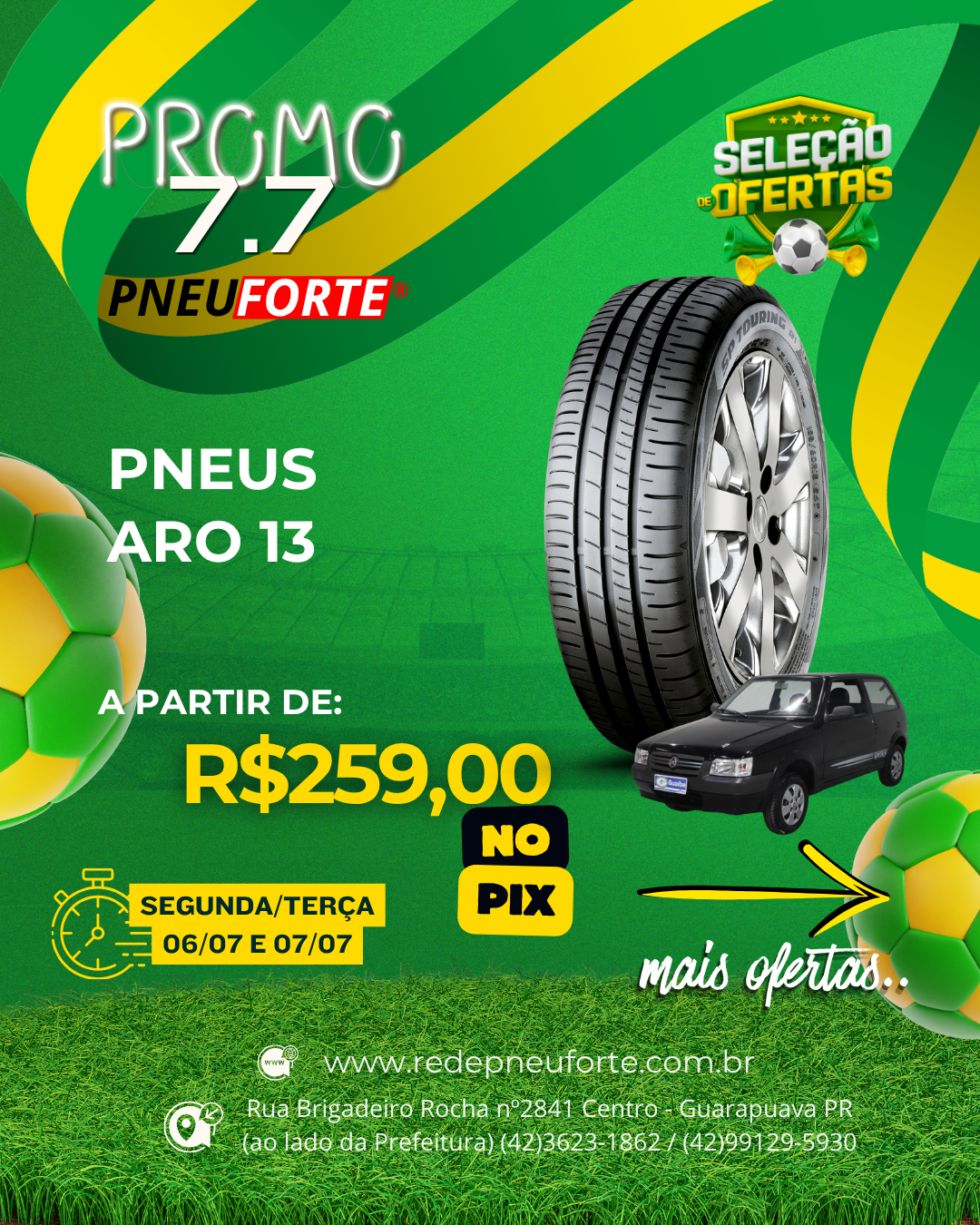 Promo_PNEU FORTE_310