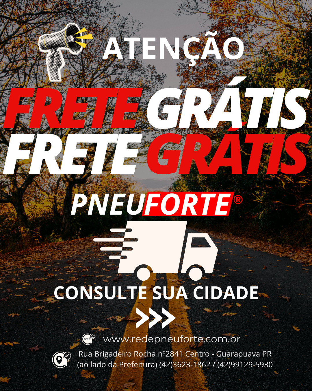 Promo_PNEU FORTE_330